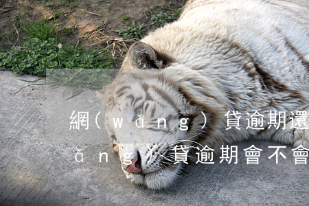 網(wǎng)貸逾期還能封微信嘛(網(wǎng)貸逾期會不會影響微信使用)