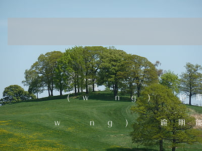 網(wǎng)貸逾期還能辦交通卡嗎(網(wǎng)貸逾期能辦理信用卡嗎)