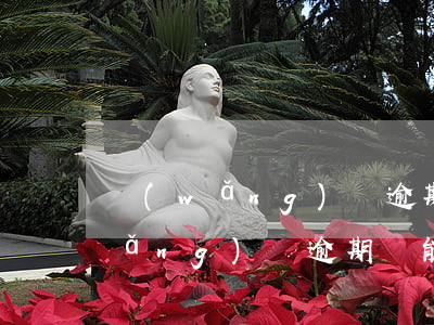 網(wǎng)貸逾期還能進銀行嗎(網(wǎng)貸逾期還能不能貸)