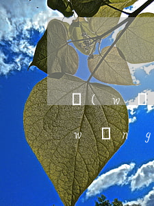 網(wǎng)貸逾期還能開通借唄嗎(網(wǎng)貸逾期借唄關(guān)閉了多久會開)