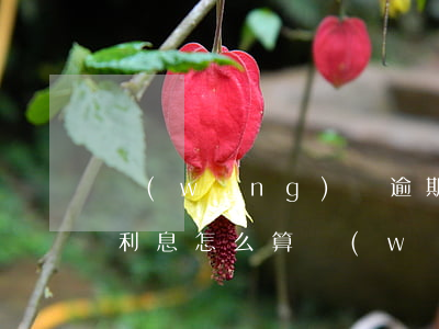 網(wǎng)貸逾期還長(zhǎng)利息怎么算(網(wǎng)貸逾期了利息越來(lái)越高怎么處理)