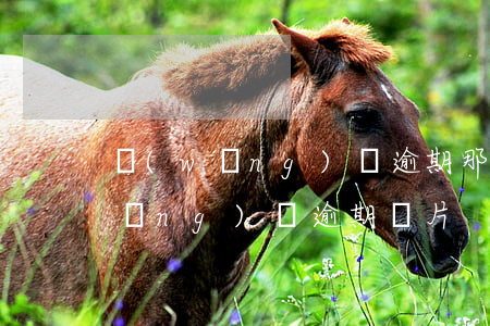 網(wǎng)貸逾期那些軟件p圖(網(wǎng)貸逾期圖片)