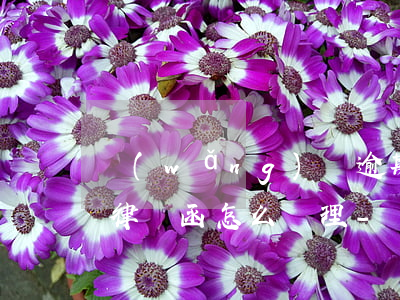 網(wǎng)貸逾期郵寄來(lái)的律師函怎么處理-網(wǎng)貸逾期郵寄來(lái)的律師函怎么處理呢