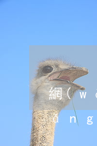 網(wǎng)貸逾期郵政寄律師函(網(wǎng)貸逾期律師事務(wù)所發(fā)來律師函)