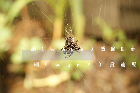 網(wǎng)貸逾期郵政寄過來的掛號信(網(wǎng)貸逾期了寄送了ems)