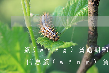 網(wǎng)貸逾期郵箱開(kāi)庭信息(網(wǎng)貸發(fā)郵箱說(shuō)要開(kāi)庭)