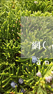 網(wǎng)貸逾期都不敢回家了(網(wǎng)貸如果逾期了會(huì)怎么樣)