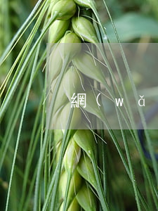 網(wǎng)貸逾期都做什么工作