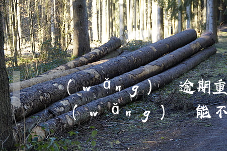 網(wǎng)貸逾期重新分期可以嗎(欠的網(wǎng)貸能不能商量重新分期)