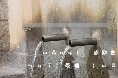 網(wǎng)貸逾期金額多少法院才會(huì)受理(網(wǎng)貸逾期金額多少法院立案)