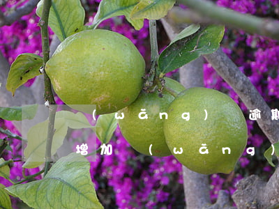 網(wǎng)貸逾期金額會(huì)不增加(網(wǎng)貸逾期金額會(huì)不增加)