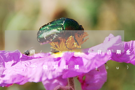 網(wǎng)貸逾期金額達(dá)到多少就可以構(gòu)成起訴（網(wǎng)貸逾期多少構(gòu)成刑事責(zé)任）