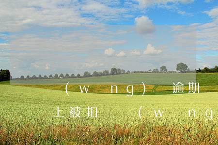 網(wǎng)貸逾期銀行卡一有錢就會馬上被扣嗎（網(wǎng)貸逾期銀行卡一有錢就會馬上被扣嗎）