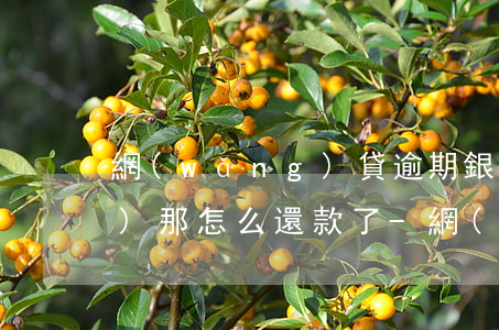 網(wǎng)貸逾期銀行卡凍結(jié)那怎么還款了-網(wǎng)貸逾期銀行卡凍結(jié)那怎么還款了呢