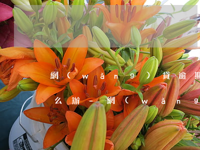 網(wǎng)貸逾期銀行卡又被凍結該怎么辦-網(wǎng)貸逾期銀行卡又被凍結該怎么辦呢