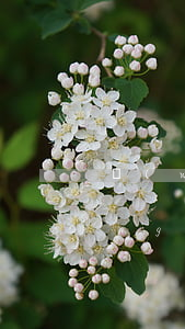 網(wǎng)貸逾期銀行卡綁定網(wǎng)絡自動扣款-網(wǎng)貸逾期銀行卡綁定網(wǎng)絡自動扣款怎么辦