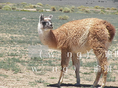 網(wǎng)貸逾期銀行卡自動扣款(網(wǎng)貸逾期銀行卡自動扣款,把快捷支付中止了管用嗎)
