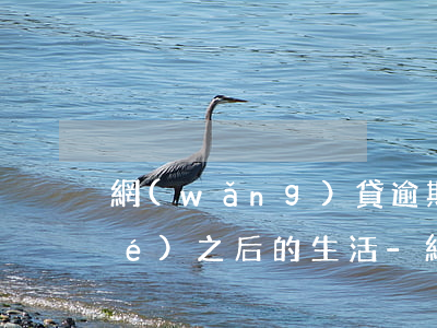 網(wǎng)貸逾期銀行卡被凍結(jié)之后的生活-網(wǎng)貸逾期了銀行卡被凍結(jié)了怎么還錢