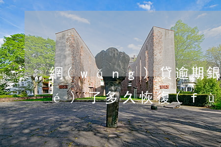 網(wǎng)貸逾期銀行卡被凍結(jié)了多久恢復(fù)-網(wǎng)貸逾期銀行卡被凍結(jié)了多久恢復(fù)正常