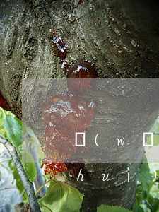 網(wǎng)貸逾期銀行卡解除了還會(huì)扣費(fèi)嗎-網(wǎng)貸逾期銀行卡解除了還會(huì)扣費(fèi)嗎怎么辦