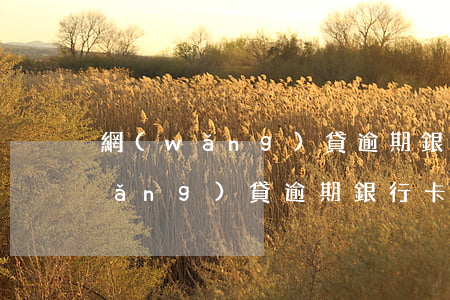網(wǎng)貸逾期銀行卡還能用(網(wǎng)貸逾期銀行卡還能用不)