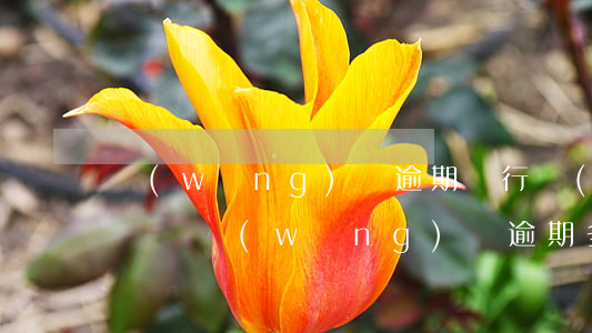 網(wǎng)貸逾期銀行會(huì)起訴嗎(網(wǎng)貸逾期多久銀行會(huì)起訴)