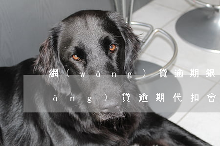 網(wǎng)貸逾期銀行會代扣嗎(網(wǎng)貸逾期代扣會每天都扣嗎)