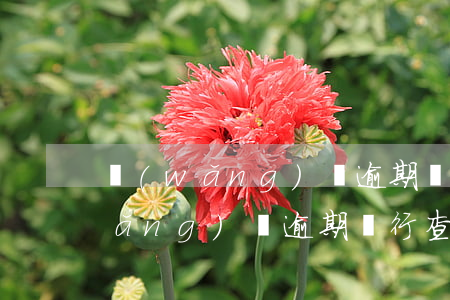 網(wǎng)貸逾期銀行查的到嗎(網(wǎng)貸逾期銀行查的到嗎)