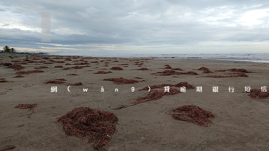 網(wǎng)貸逾期銀行短信通知