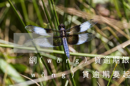 網(wǎng)貸逾期銀行說被起訴了 網(wǎng)貸逾期要起訴