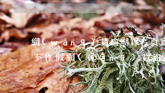 網(wǎng)貸逾期錄音真實(shí)不作假(網(wǎng)貸逾期視頻)