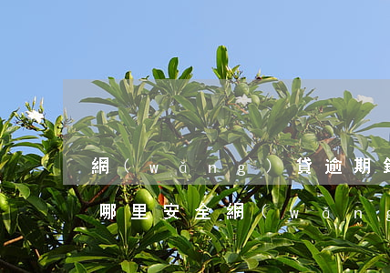 網(wǎng)貸逾期錢(qián)放在哪里安全(網(wǎng)貸逾期哪里可以借錢(qián))