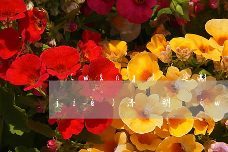 網(wǎng)貸逾期開(kāi)了結(jié)清證明(網(wǎng)貸逾期開(kāi)了結(jié)清證明)