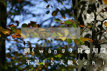 網(wǎng)貸逾期開(kāi)庭后是不是15天執(zhí)行-網(wǎng)貸逾期開(kāi)庭后是不是15天執(zhí)行不了