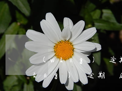 網(wǎng)貸逾期開庭怎么通知 網(wǎng)貸逾期開庭后多久執(zhí)行