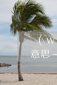 網(wǎng)貸逾期開通本金通道是什么意思-開通還本金通道