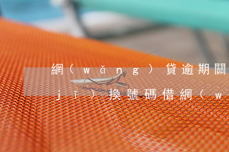 網(wǎng)貸逾期關(guān)機(jī)換號碼借(網(wǎng)貸逾期電話停機(jī))