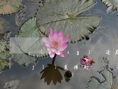 網(wǎng)貸逾期關(guān)機(jī)直接行嗎(網(wǎng)貸逾期公安機(jī)關(guān)會(huì)立案嗎)