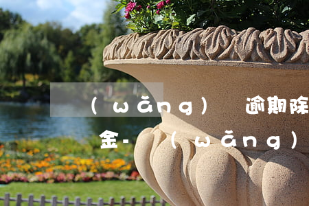 網(wǎng)貸逾期除了利息還有額外的罰金-網(wǎng)貸逾期除了利息還有額外的罰金嗎