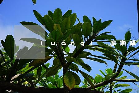 網(wǎng)貸逾期隔多久可以再貸