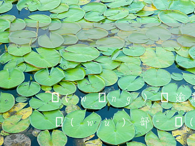 網(wǎng)貸逾期電話說把合同交給法務(wù)部-網(wǎng)貸逾期電話說把合同交給法務(wù)部了