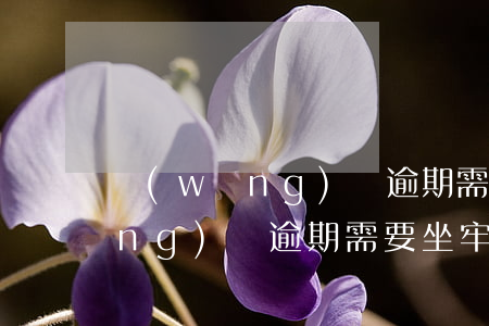 網(wǎng)貸逾期需不需要管(網(wǎng)貸逾期需要坐牢嗎)