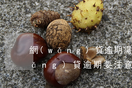 網(wǎng)貸逾期需要做些什么(網(wǎng)貸逾期要注意哪方面)
