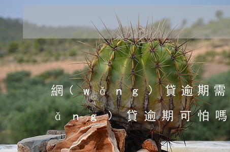 網(wǎng)貸逾期需要活下去嗎(網(wǎng)貸逾期可怕嗎)