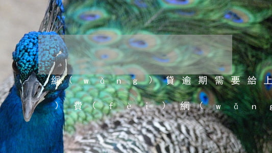 網(wǎng)貸逾期需要給上門(mén)費(fèi)(網(wǎng)貸逾期一千多會(huì)上門(mén)嗎)