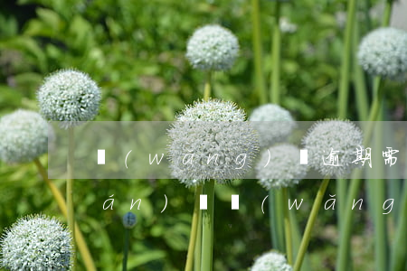 網(wǎng)貸逾期需要還很多錢(qián)嗎(網(wǎng)貸逾期嚴(yán)重哪里還能借錢(qián))