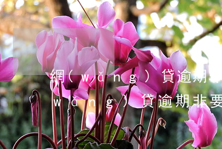 網(wǎng)貸逾期非要一次性還完 網(wǎng)貸逾期非要一次性還完嘛