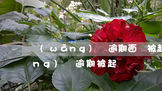 網(wǎng)貸逾期面臨被起訴 網(wǎng)貸逾期 被起訴