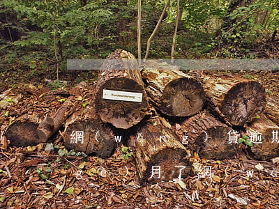 網(wǎng)貸逾期預(yù)期五個(gè)月了(網(wǎng)貸逾期3個(gè)月)