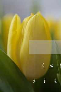 網(wǎng)貸逾期風(fēng)險(xiǎn)等級3級(網(wǎng)貸逾期3年)